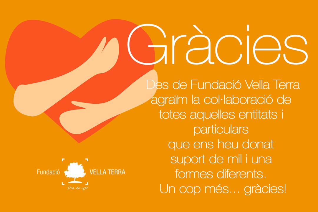 GraciesFVT_COVID